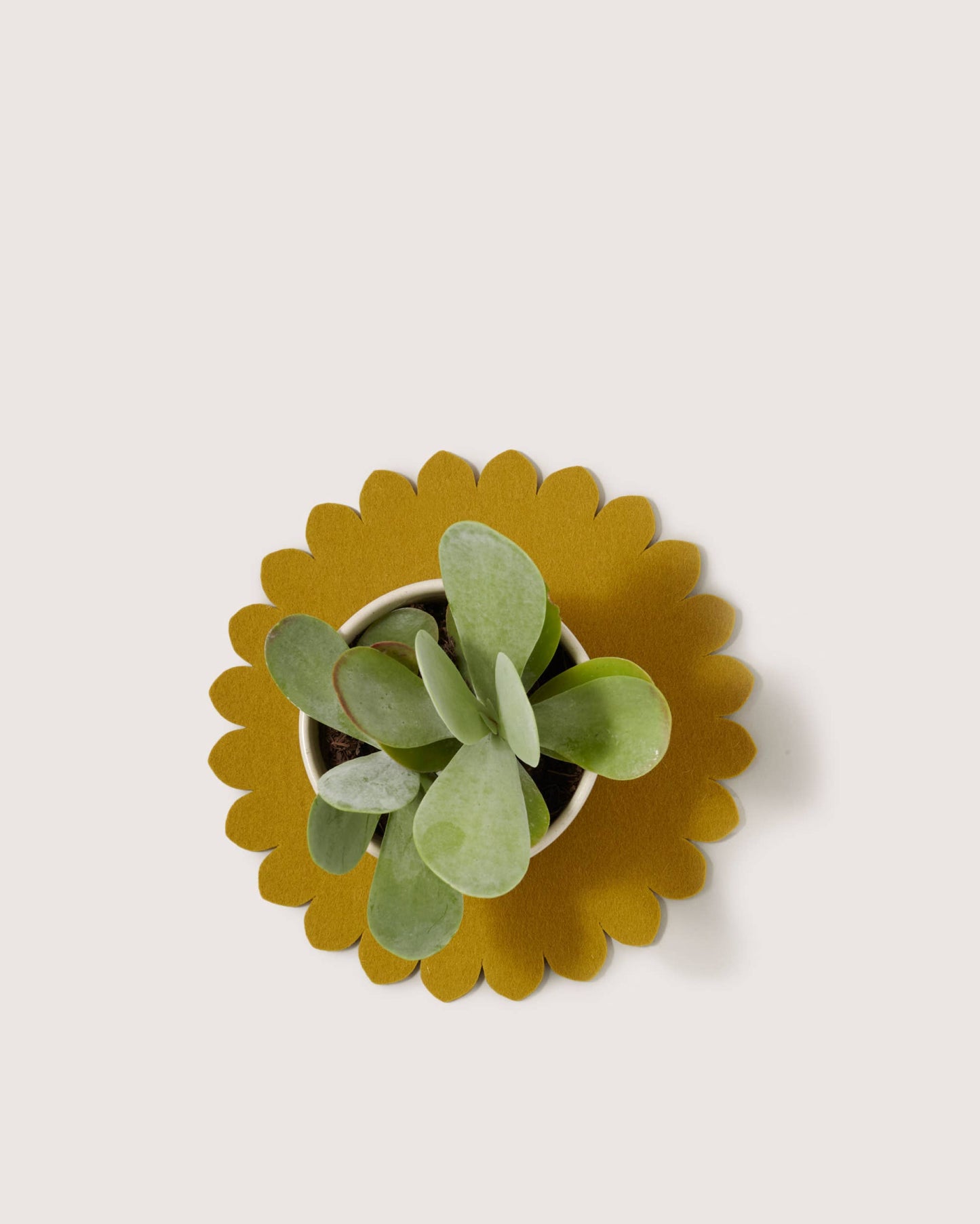 Crest Merino Wool 10" Trivet - Dandelion