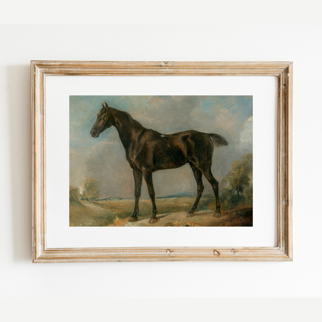 Black Riding Horse Antique Art Print