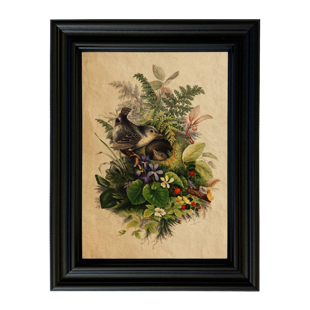 Birds in Nest Cottagecore Framed Reproduction Print