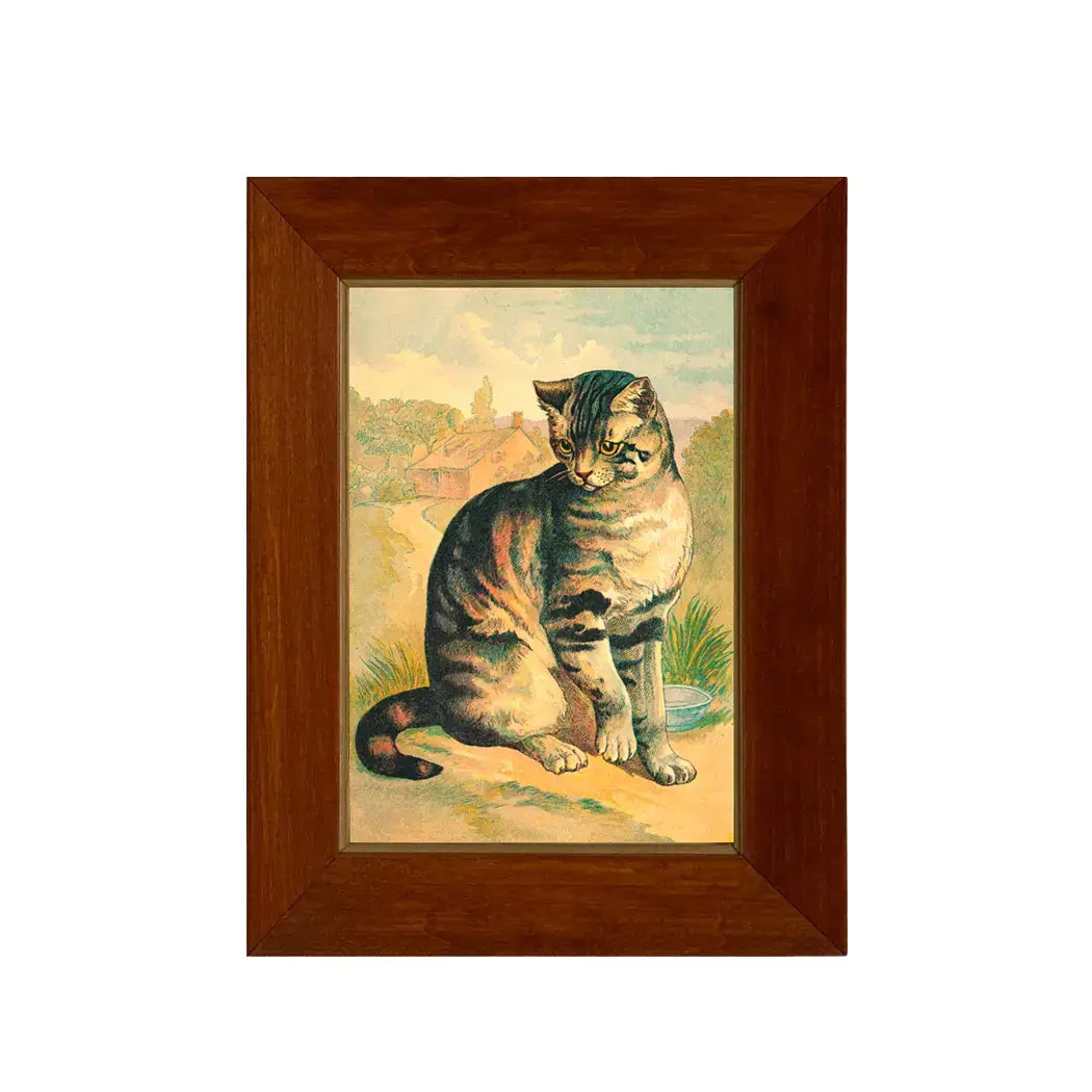 Cat Vintage Children's Book Illustration Vintage Print