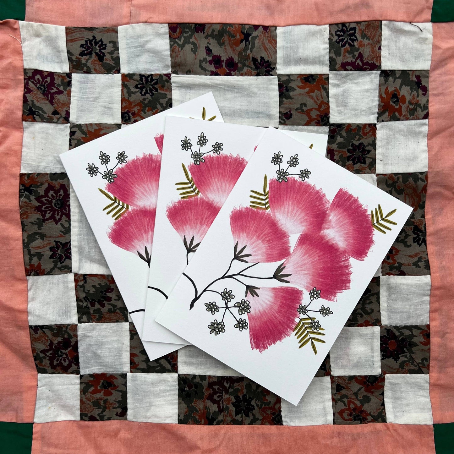 Mimosa - Invasive Pen Pal Cards: Individual Card
