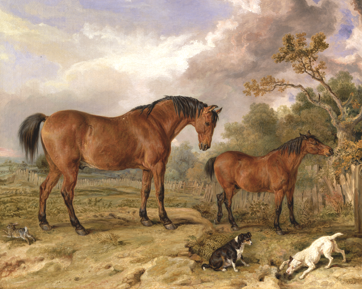 Horses & Dogs Antique Art Print