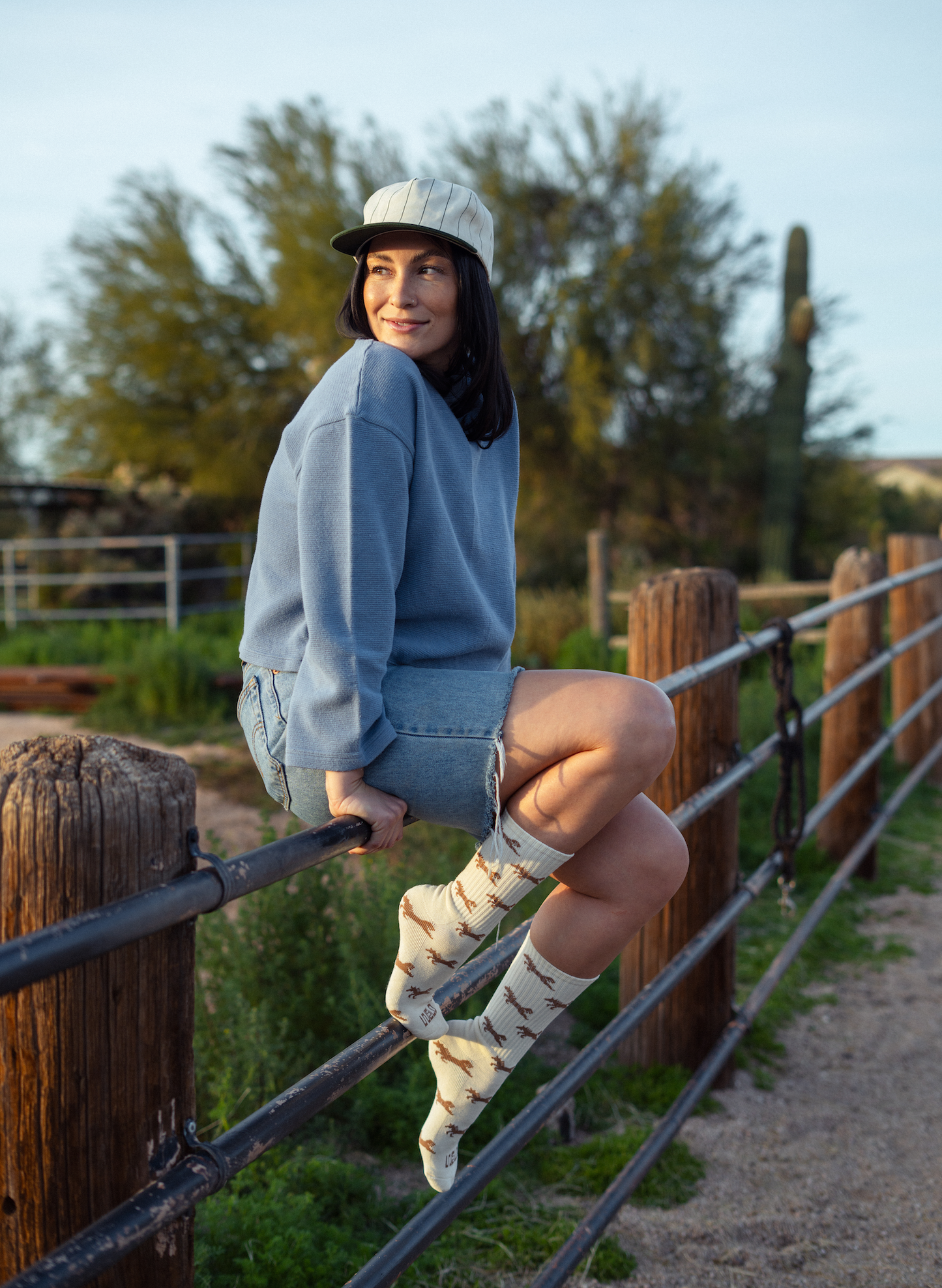 Giddy Up Socks