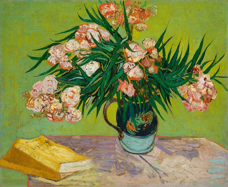 Oleanders (1888) by Vincent van Gogh: 8x10 Inches