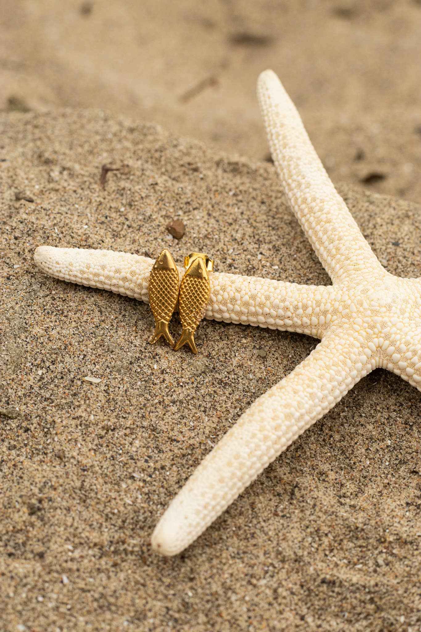 Sardine Studs - Gold or Silver