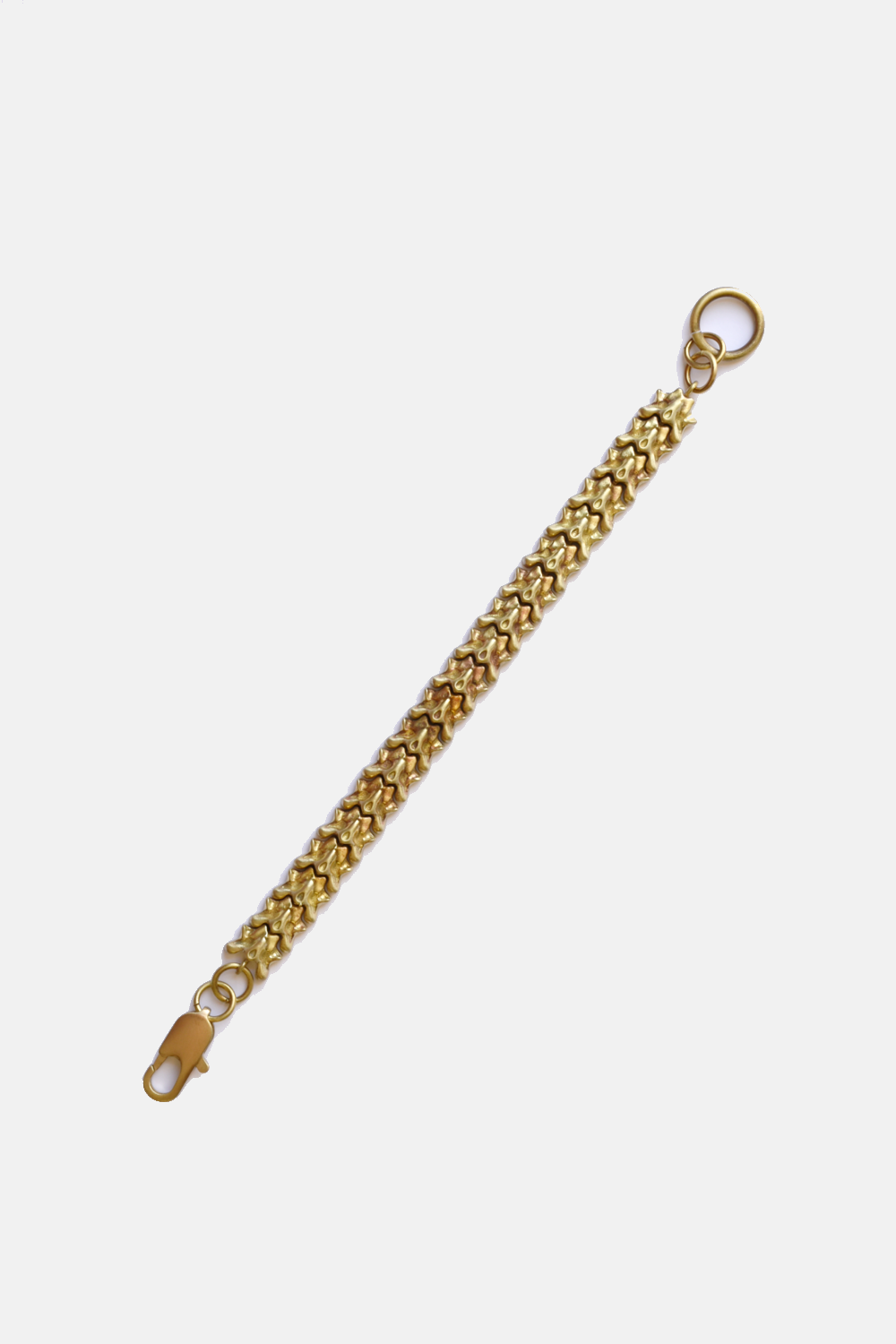 Vertebrate Chain Bracelet: Brass