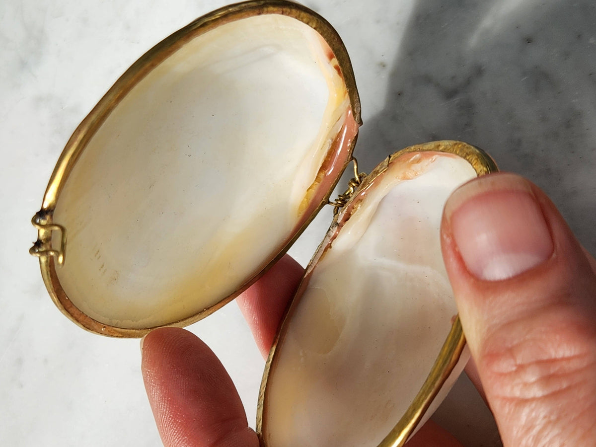 Mini Clam Trinket Pill Box & Coin Purse