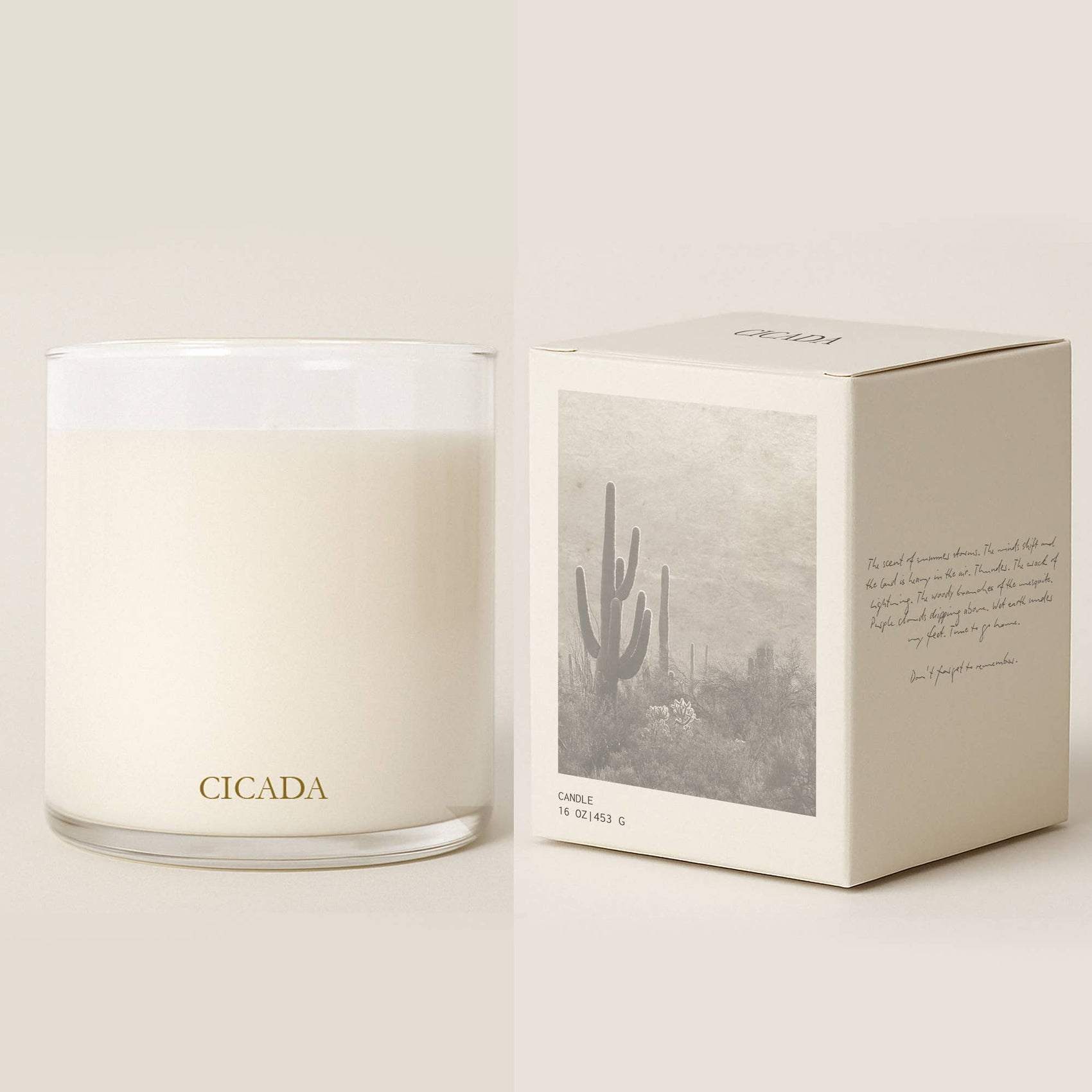 No. 01 Large Candle - Summer Storms