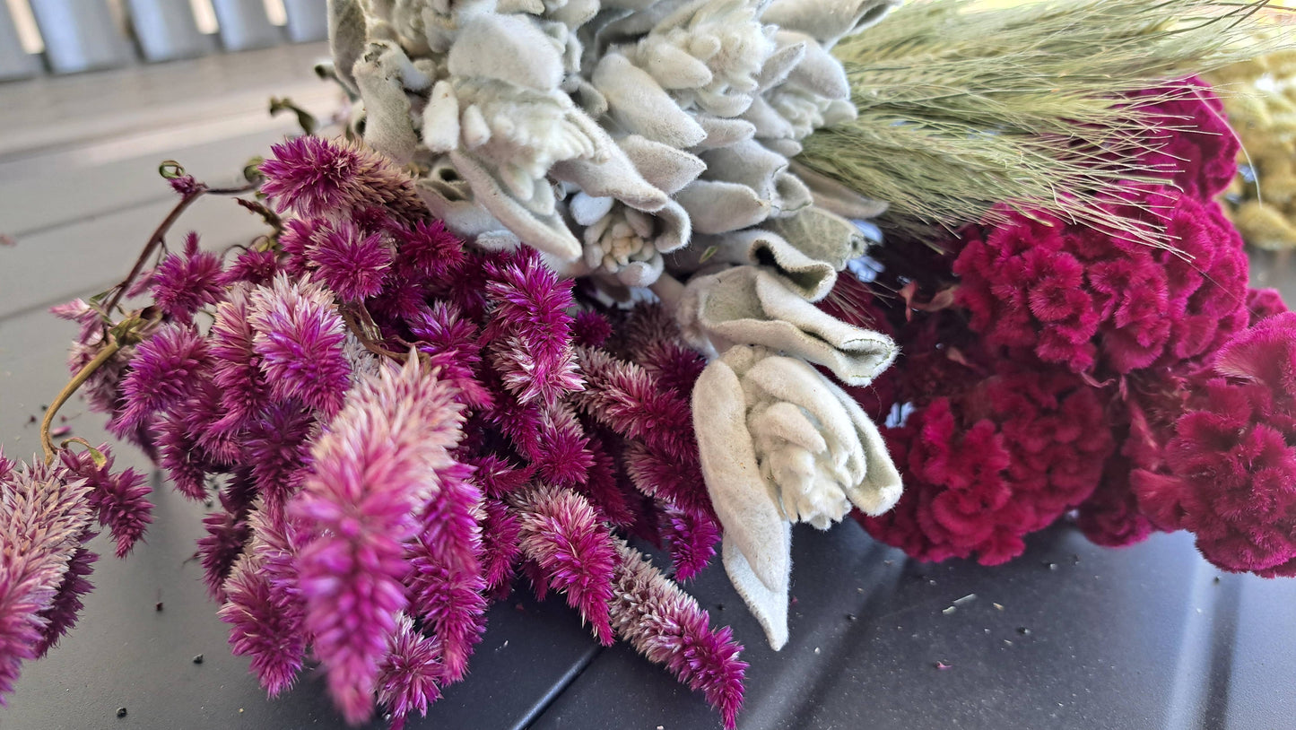 Celosia-Purple Celway