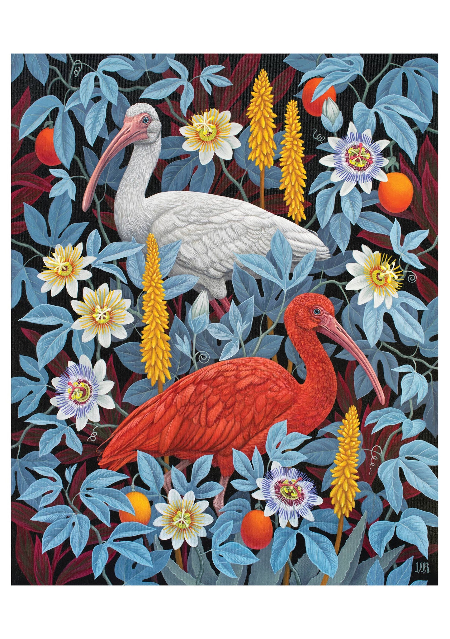 Vasilisa Romanenko: Ibises Notecard