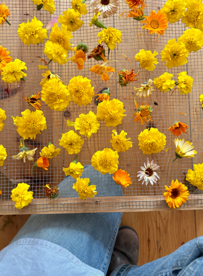 Organic Edible Flower Blend