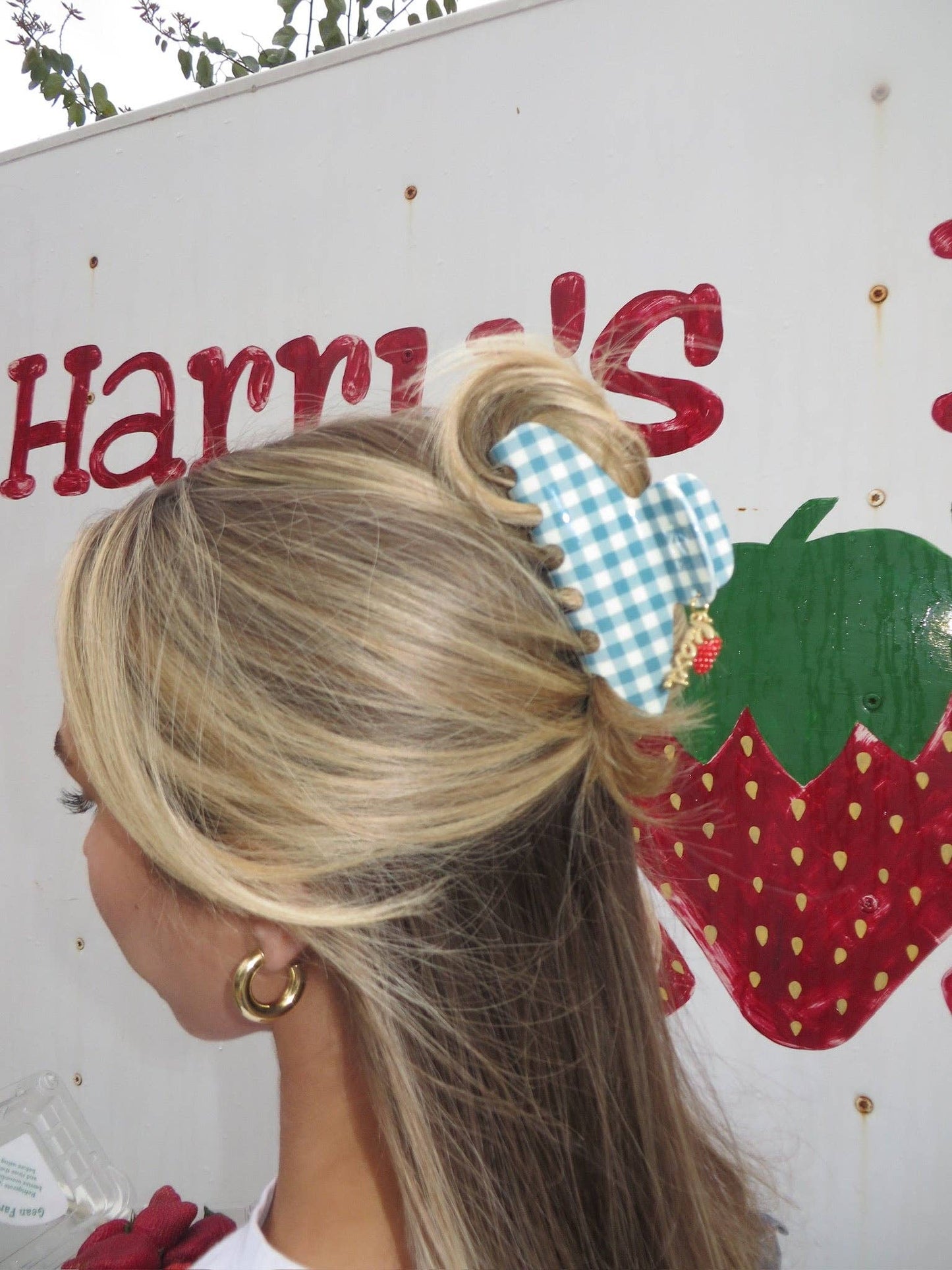 Gingham Claw - Strawberry Charm