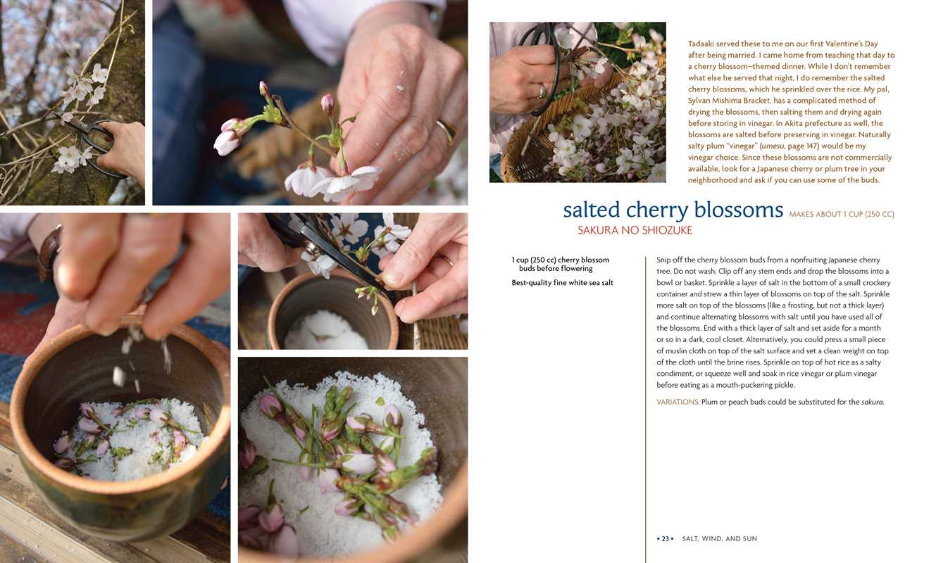 Preserving the Japanese Way by Nancy Singleton Hachisu