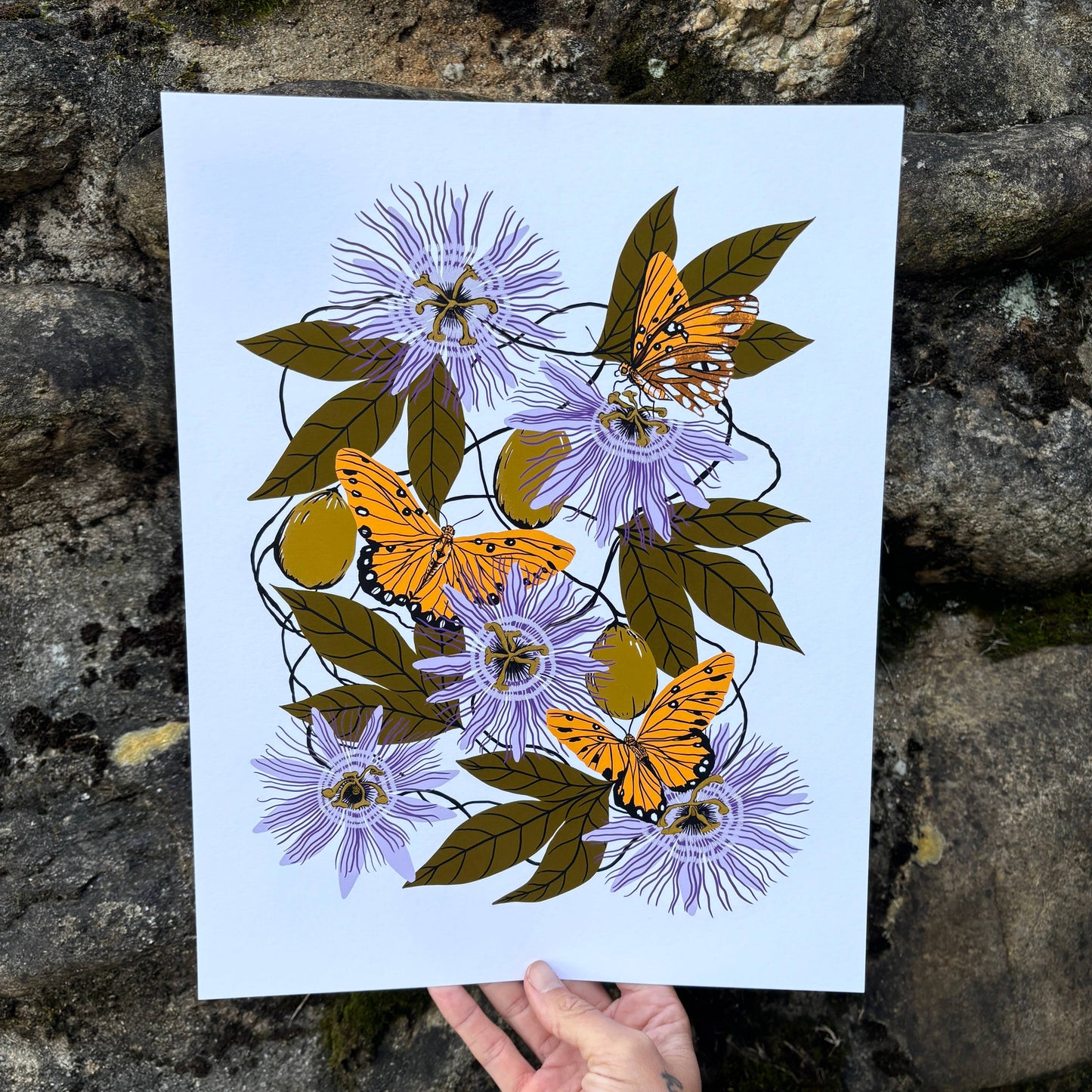 Passionflower - 14x11 Print