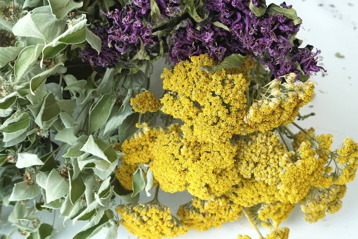 Yarrow, Cloth of Gold