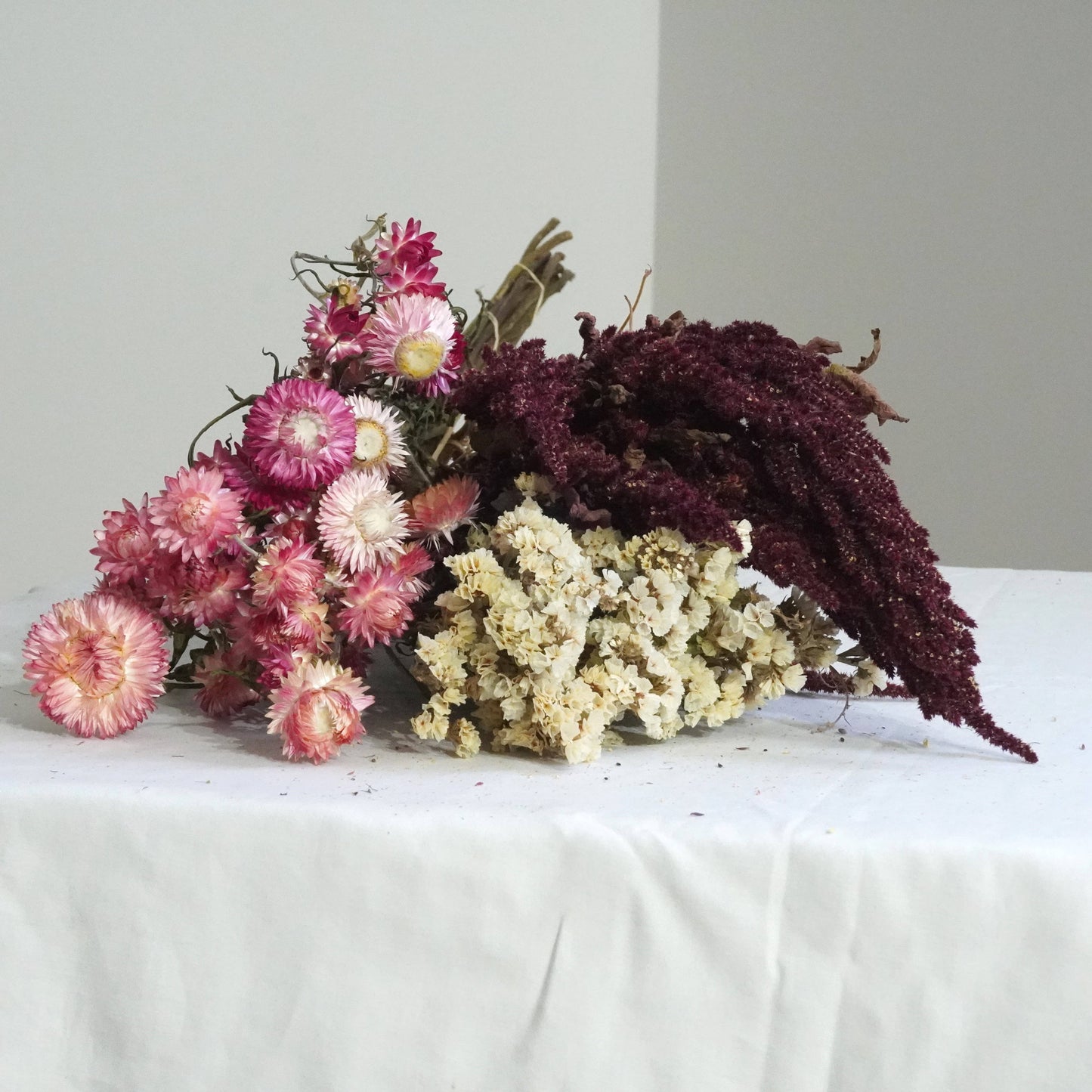 Strawflower-Silvery Rose