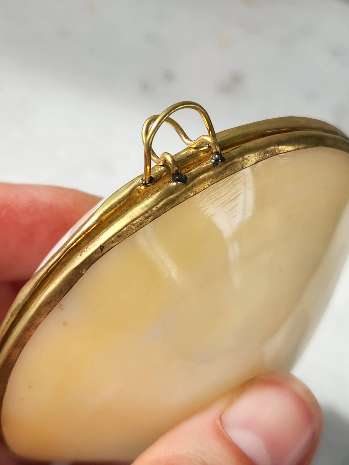 Mini Clam Trinket Pill Box & Coin Purse
