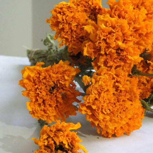 Marigolds