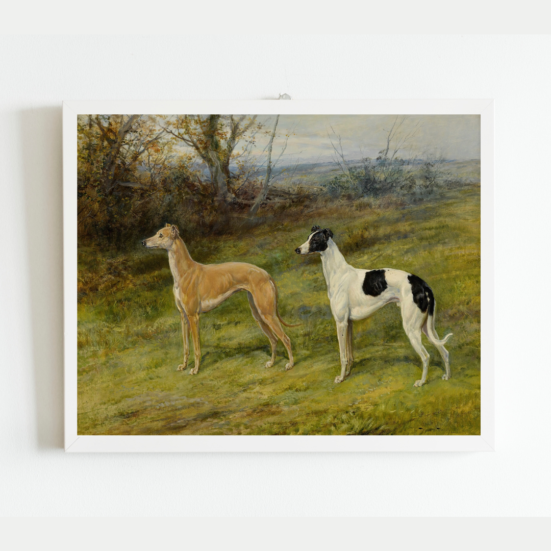 Greyhounds in Wales Antique Art Print