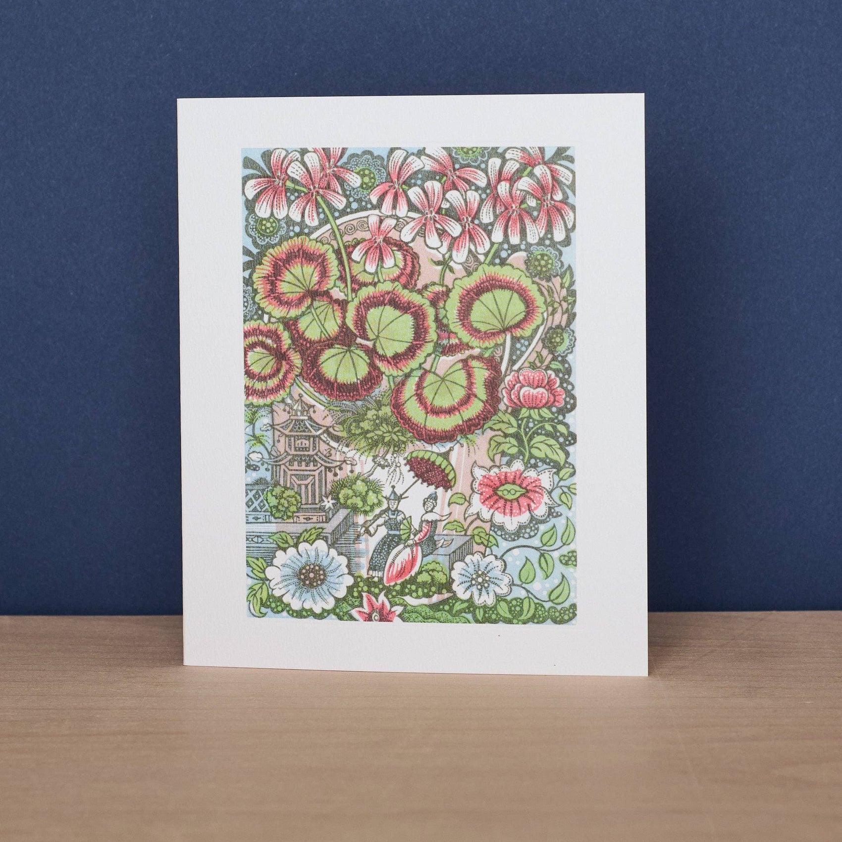 Pelargonium