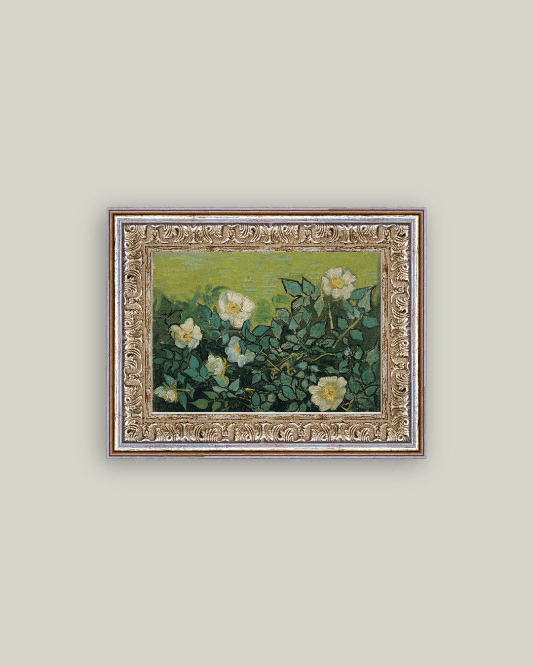Wild Roses