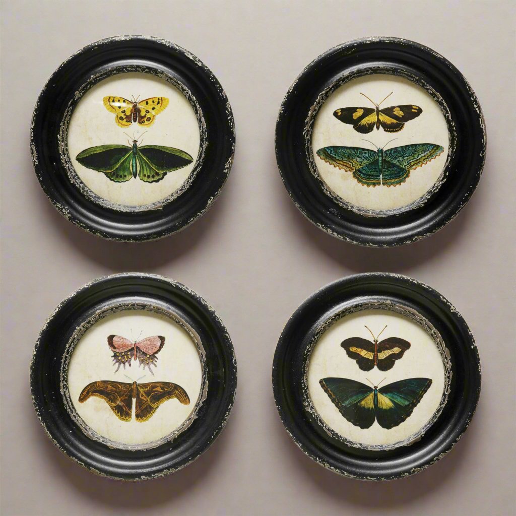 Framed Wall Decor with Moths/Butterflies Image, 4 Styles