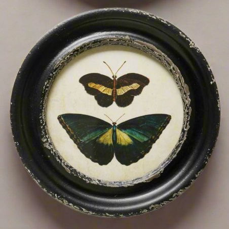 Butterfly Framed Wall Art