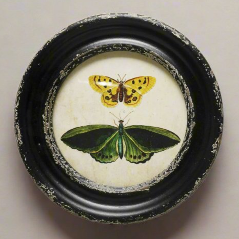 Butterfly Framed Wall Art