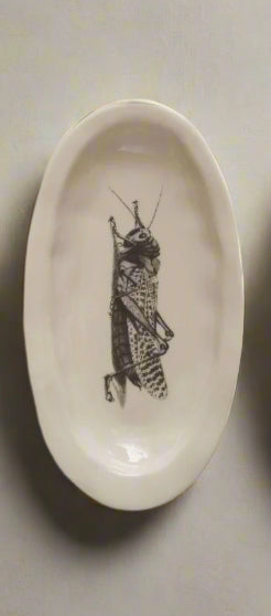 Flora & Fauna Image Transfer Plates