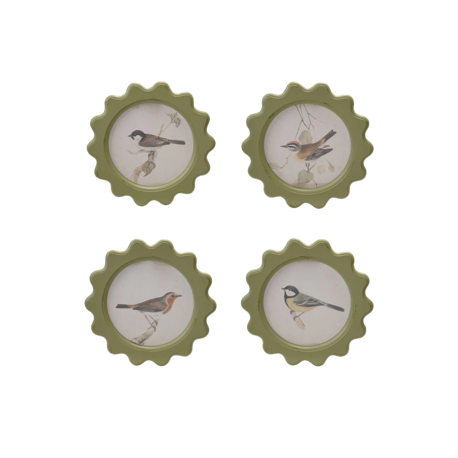 Framed Bird Art - 4 Styles