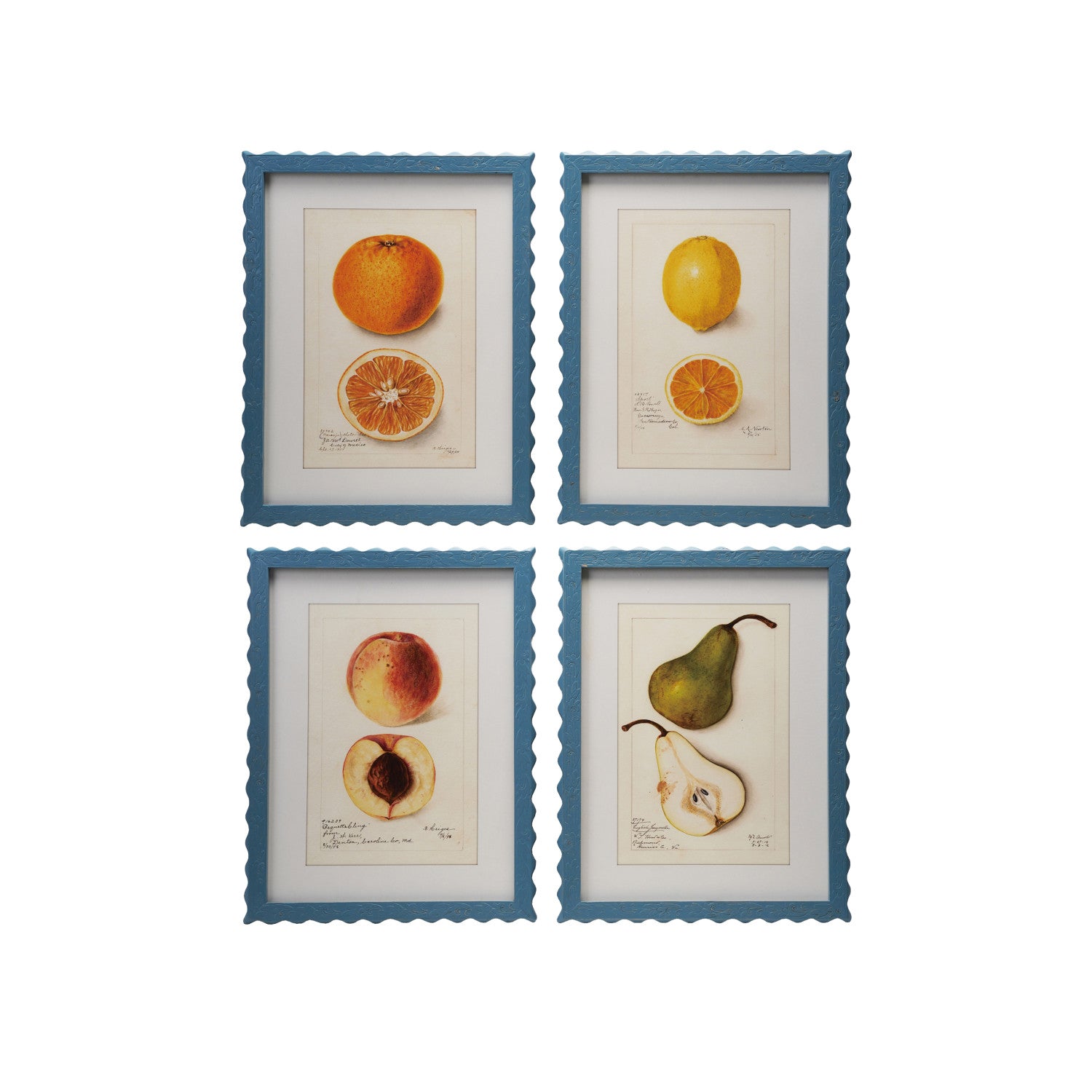 Framed Fruit Art - 4 Styles