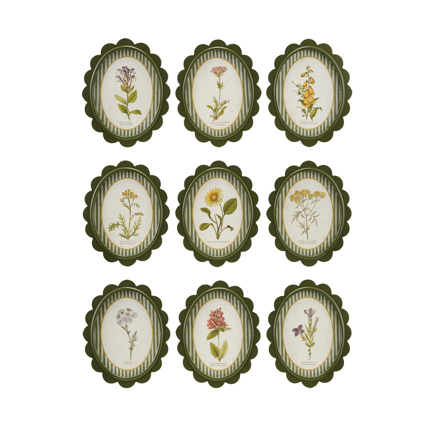 Scalloped Frame with Flower & Striped Mat Prints