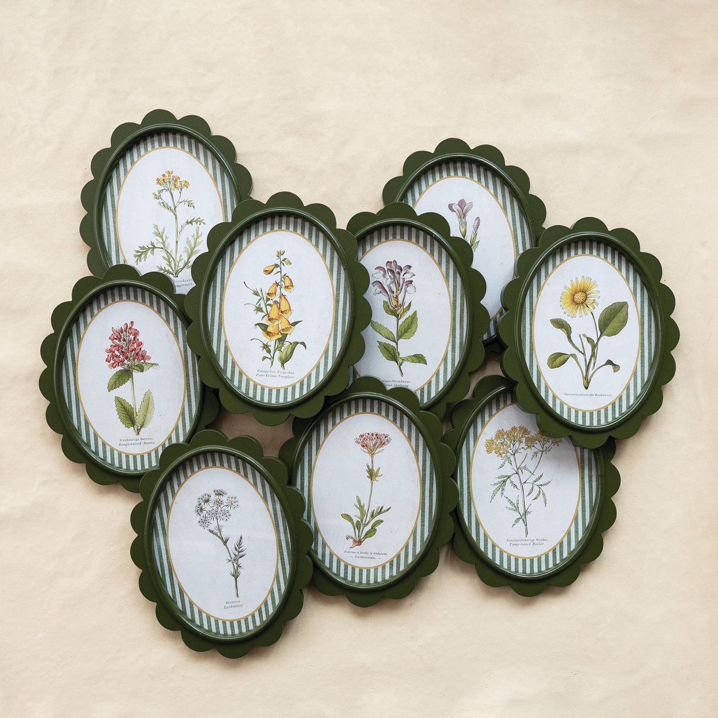 Scalloped Frame with Flower & Striped Mat Prints
