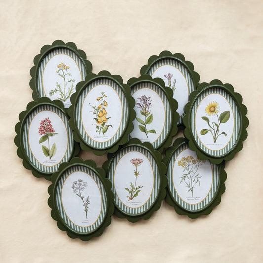 Scalloped Frame with Flower & Striped Mat Prints