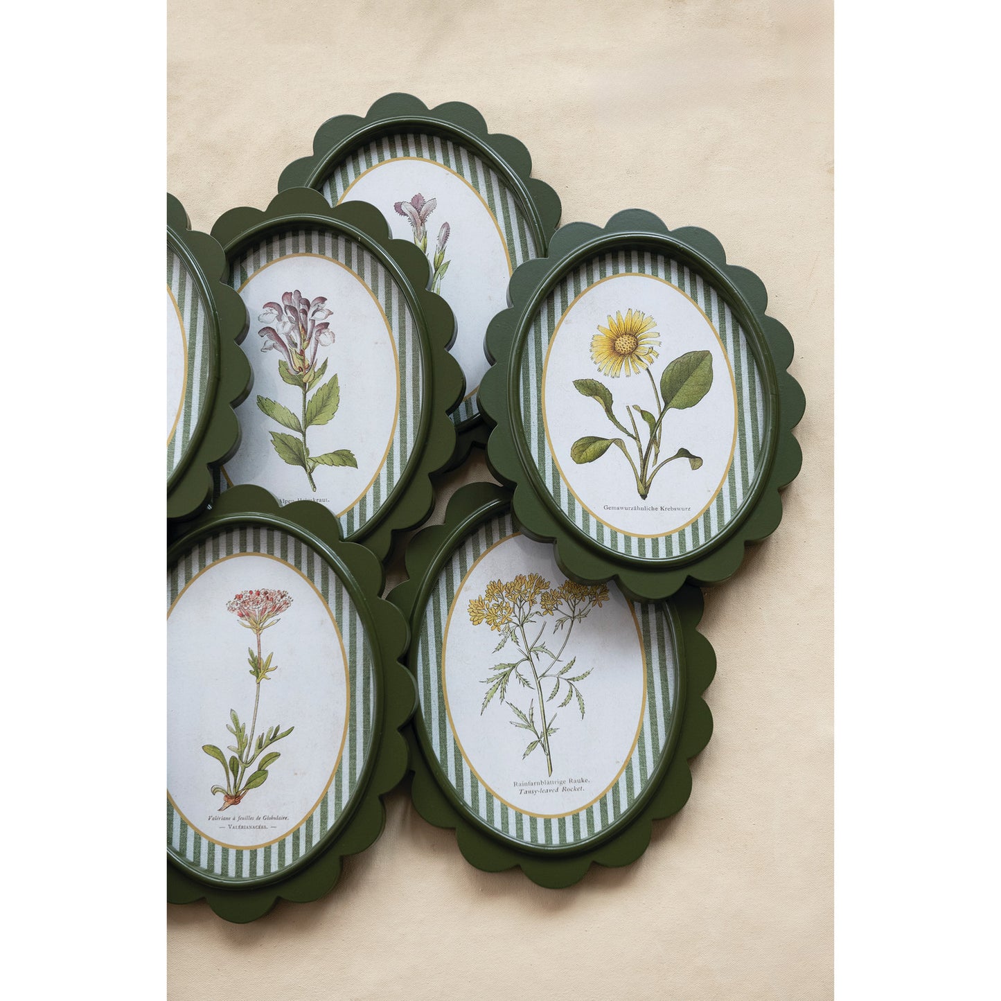 Scalloped Frame with Flower & Striped Mat Prints