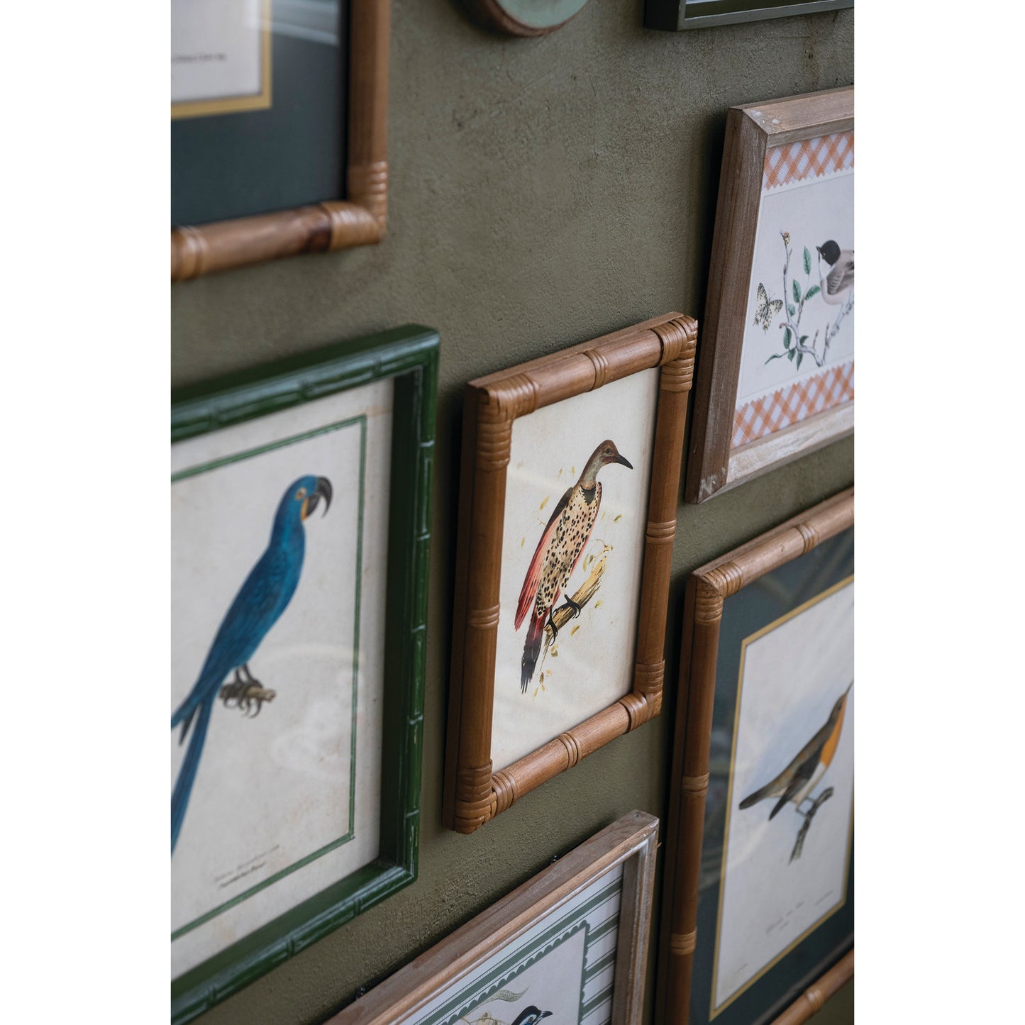 Framed Birds & Botanicals - 12 Styles