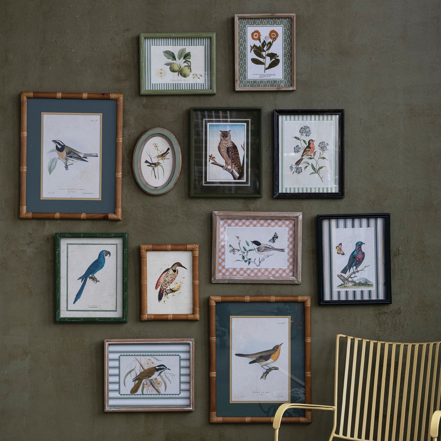 Framed Birds & Botanicals - 12 Styles