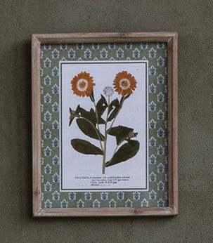 Framed Birds & Botanicals - 12 Styles