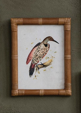 Framed Birds & Botanicals - 12 Styles