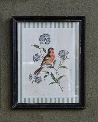 Framed Birds & Botanicals - 12 Styles