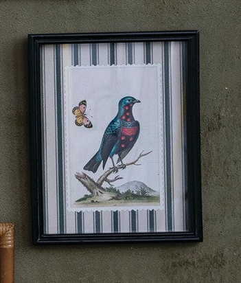 Framed Birds & Botanicals - 12 Styles