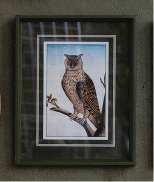 Framed Birds & Botanicals - 12 Styles