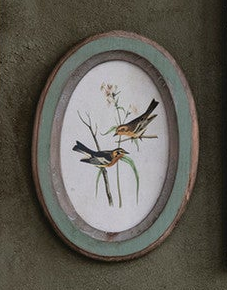 Framed Birds & Botanicals - 12 Styles