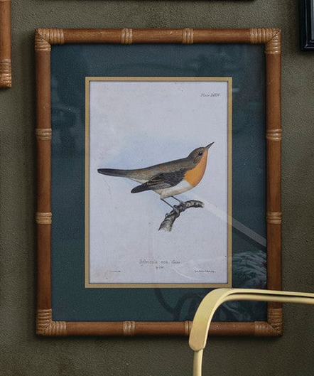 Framed Birds & Botanicals - 12 Styles