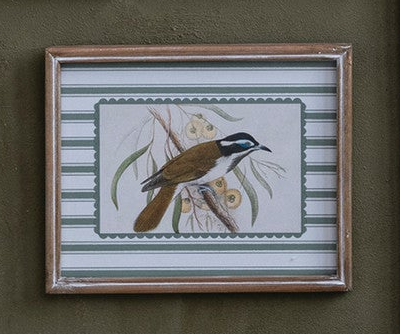 Framed Birds & Botanicals - 12 Styles