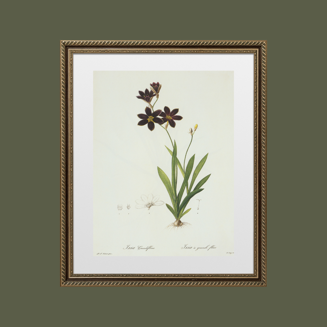 Dark Purple Wildflowers Antique Art Print
