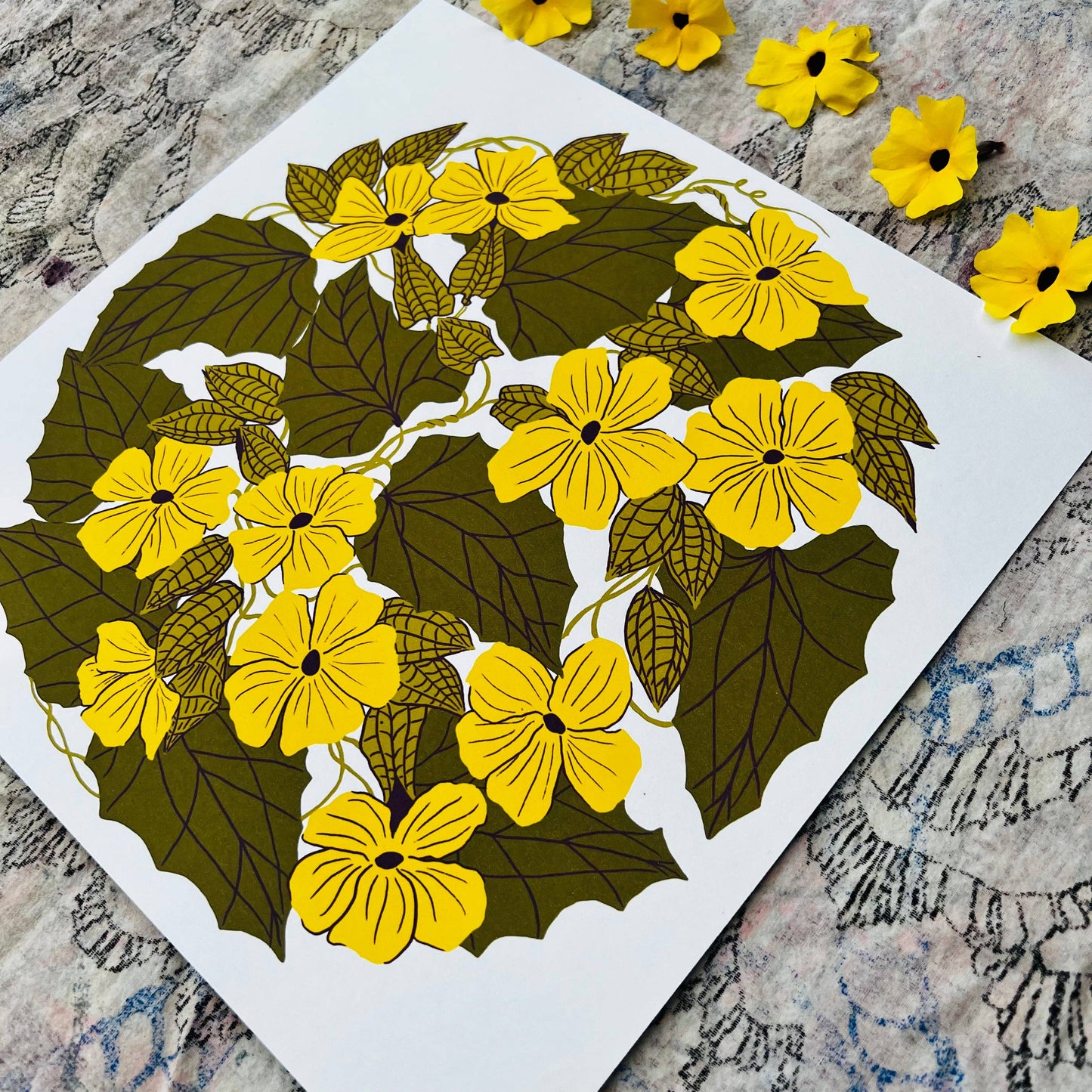 Black Eyed Susan Vine - 12x12 Print