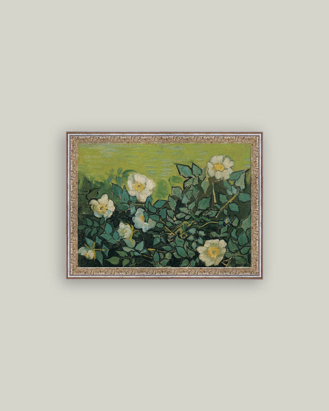 Wild Roses