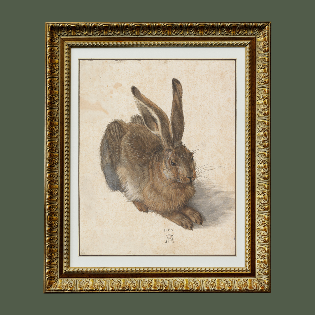 Young Hare Art Print