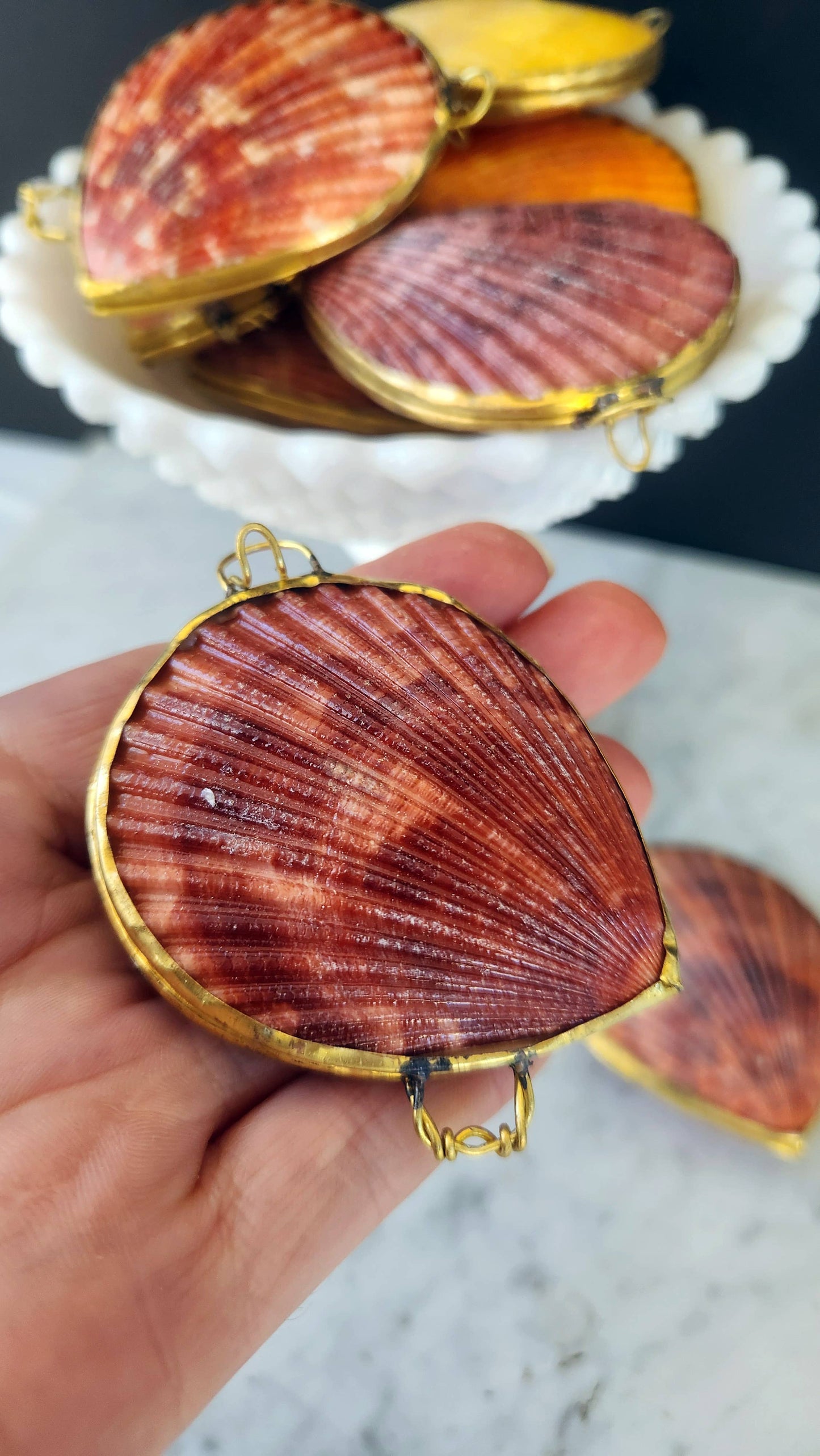 Noble Pectin Trinket Pill Box & Coin Purse